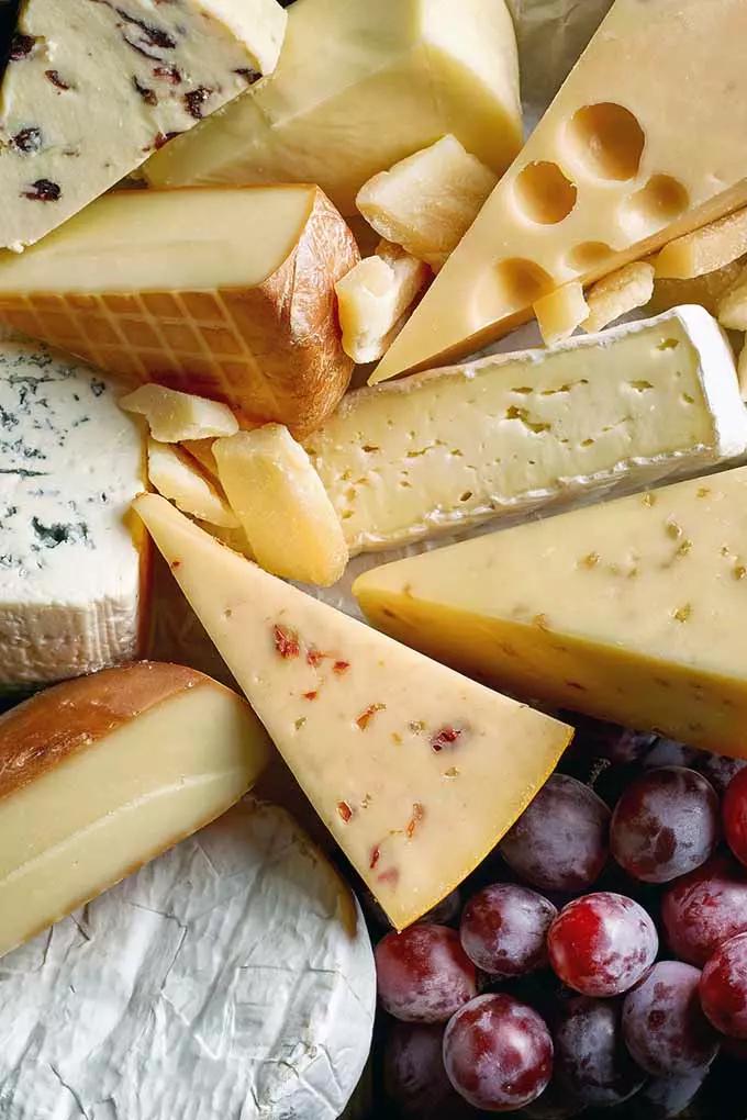 cheese
